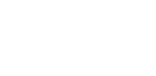 ERNIK'S